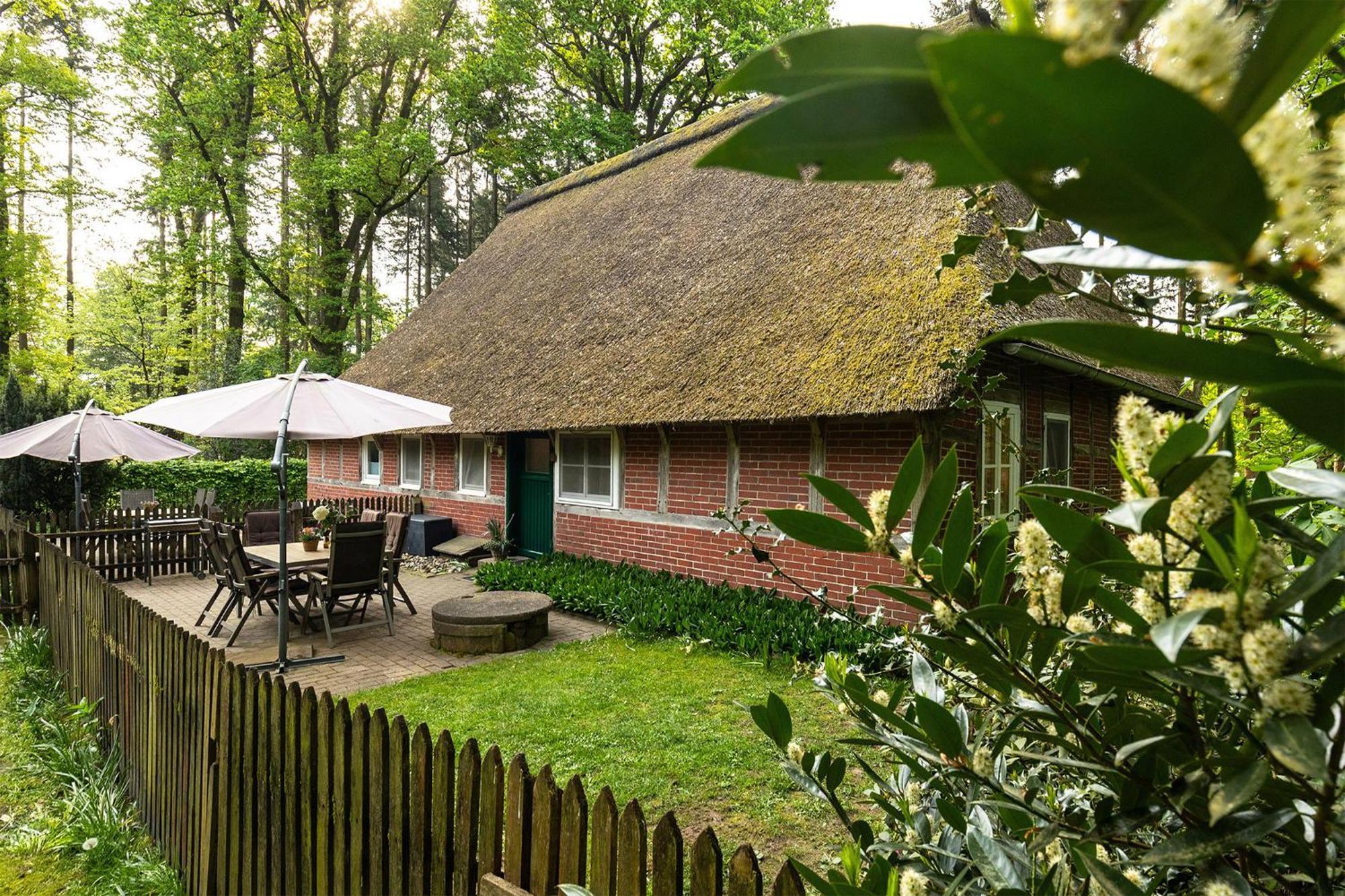 Heide Ferien - Hof Bockelmann Apartment Bispingen Room photo